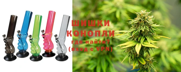 PSILOCYBIN Усмань