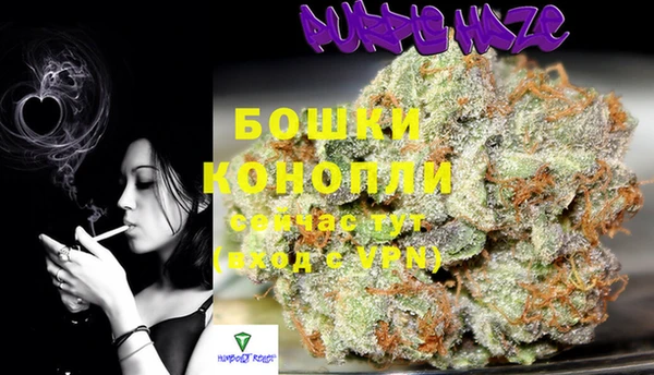 PSILOCYBIN Усмань