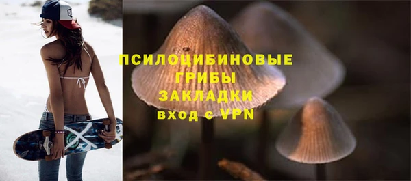 PSILOCYBIN Усмань