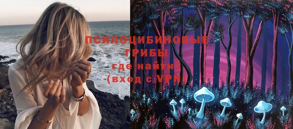PSILOCYBIN Усмань