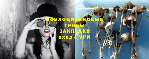 PSILOCYBIN Усмань